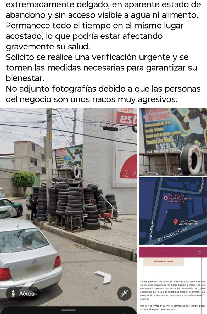 ABRYLHONEY's tweet photo. @AnimalesPerdid2 @FundacionToby @LicAnimalista @Mr_Civico @PAOTmx urge atención a este caso https://t.co/DYD6NA8BzC
