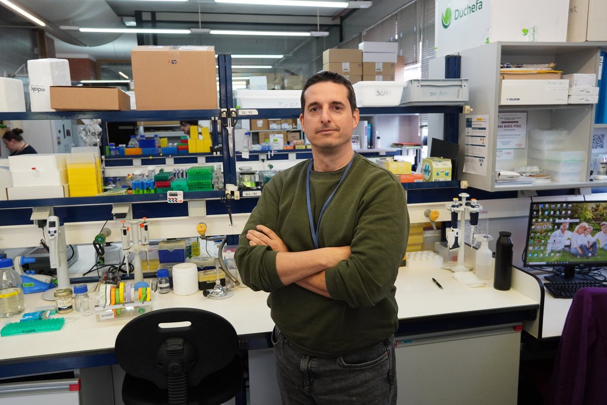 IATA CSIC tweet media