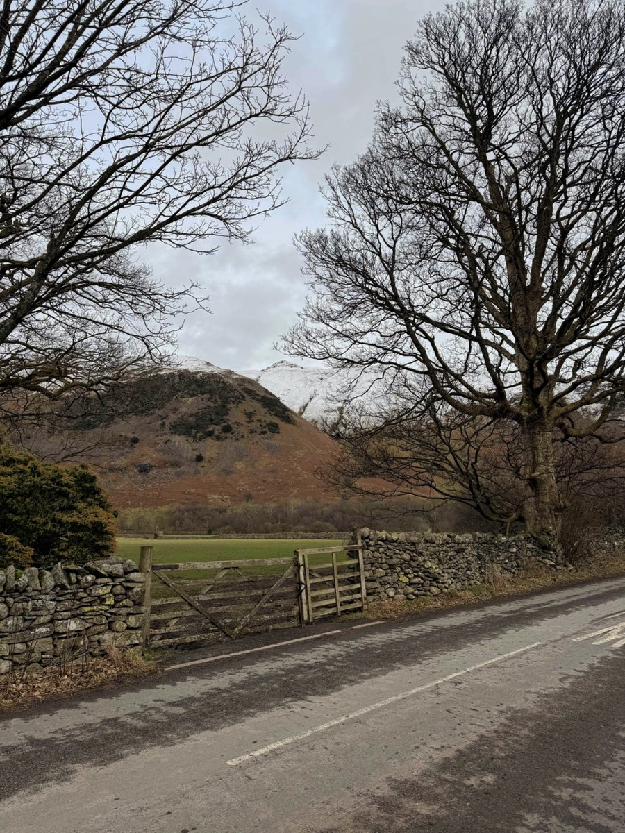 Postcard from Britain tweet media