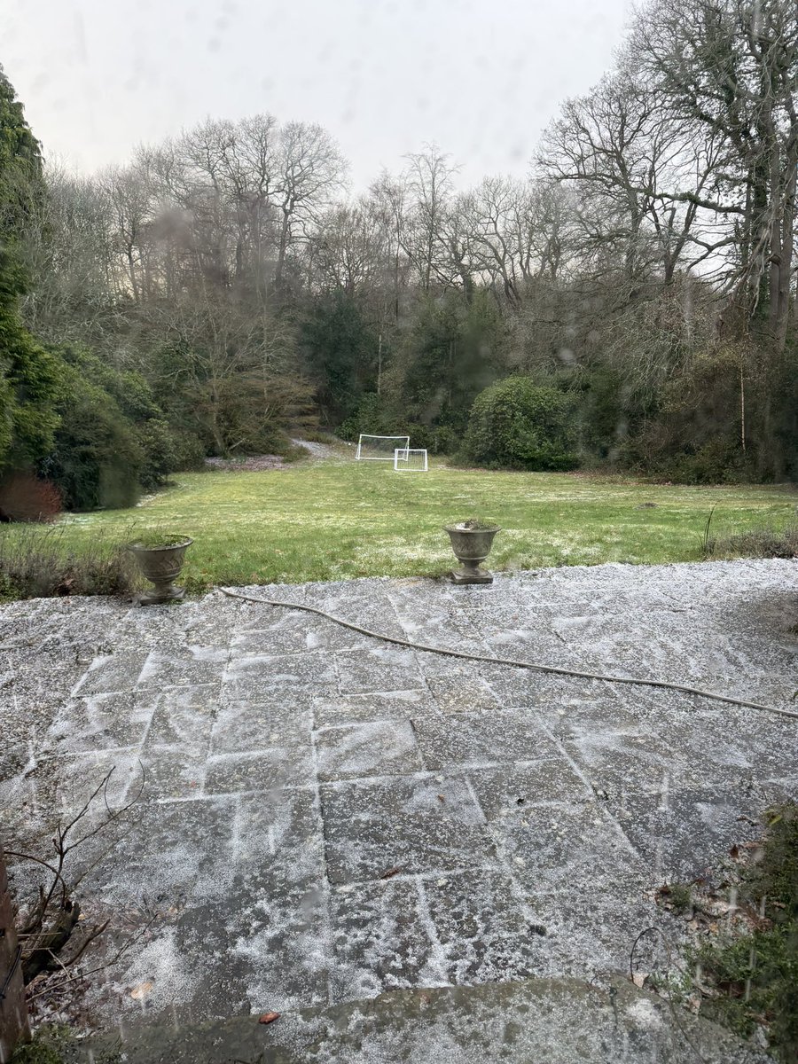 RoNotBroYT tweet media