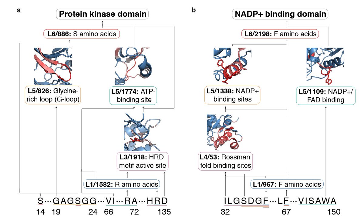 Darin Tsui tweet media