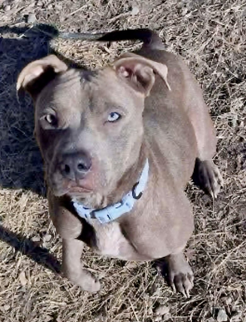 Donna Lac tweet media