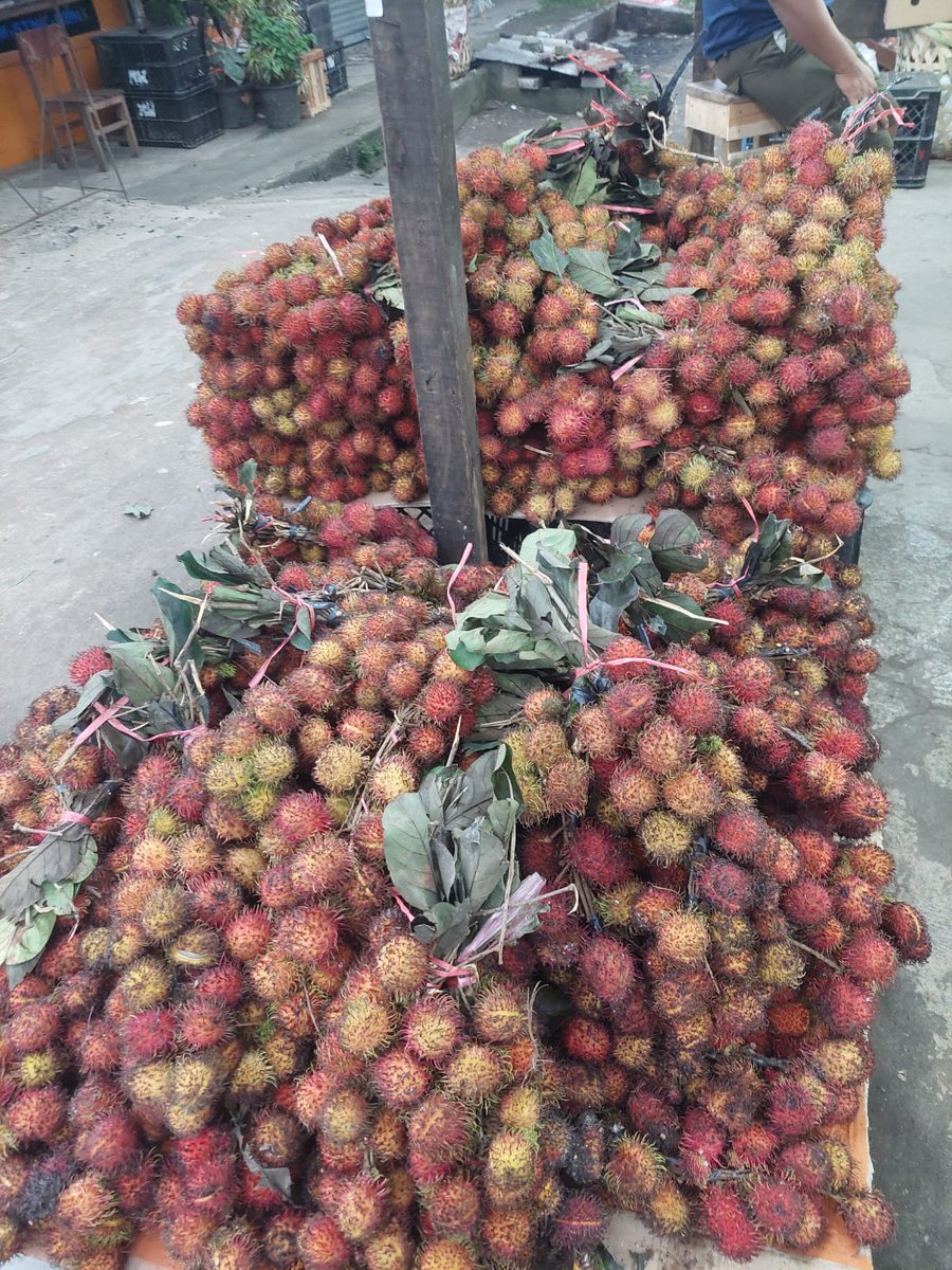 Lindasyamsoel's tweet photo. Heey lu Kornetz doyan ga sama rambutan..!! https://t.co/zH9bplukZg
