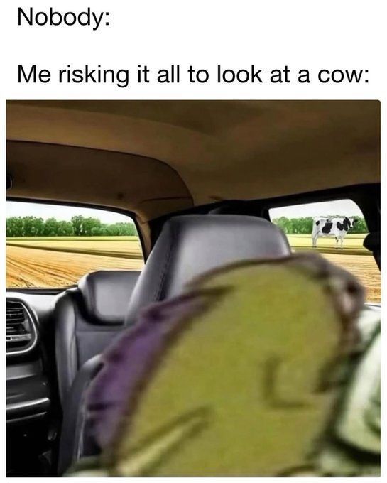 messedupcars's tweet image. 