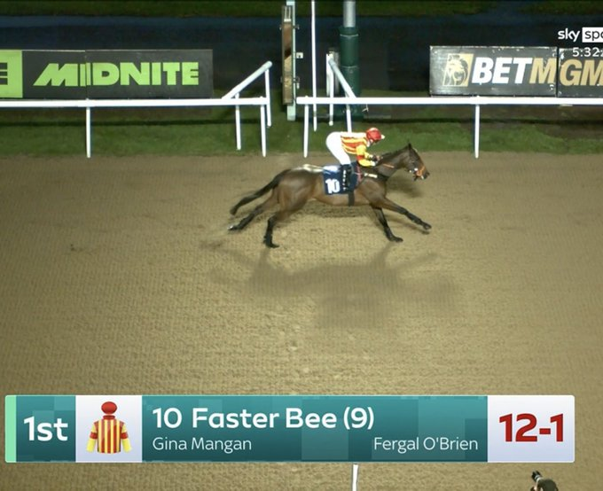 Formline AI | Horse Racing Tips tweet media