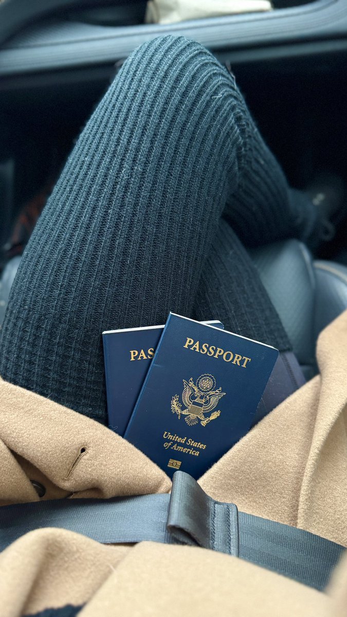 ૮ ・ ﻌ・ა Trash Puppy tweet media