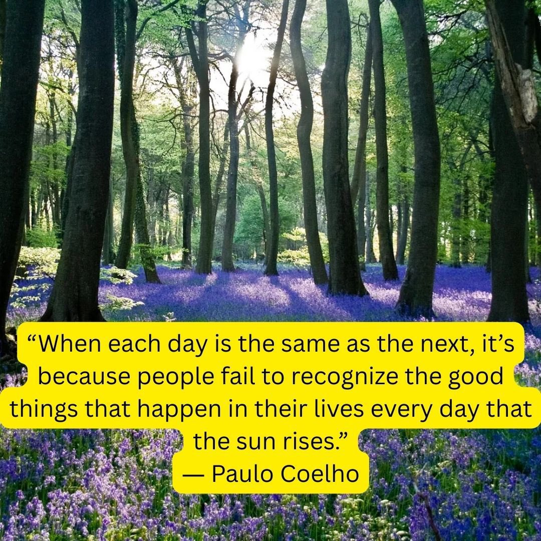 mikepatin's tweet photo. As we begin a new week, may we recognize all the blessings and goodness that we are surrounded with. May we never take for granted how blessed we are. https://t.co/73SWB1AhVI