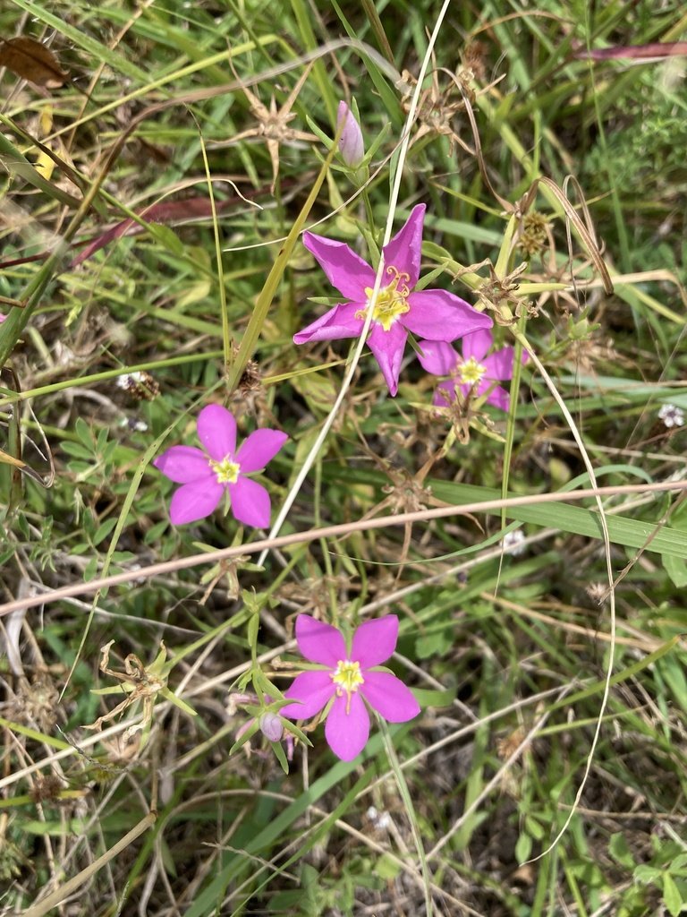 OldFoundWeatherNerd tweet media