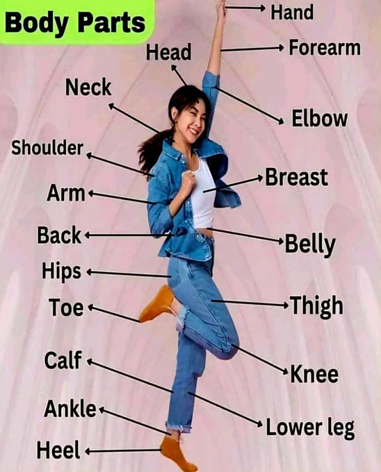 MasterEngEasy's tweet image. Head to Toe Challenge – Name Every Part!