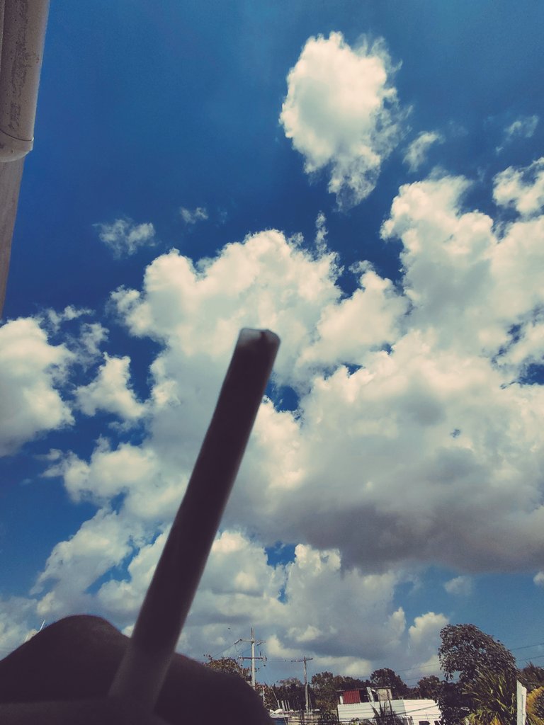 Rico inicio de semana mi gente exitosa  y excitada y que mejor que con un buen café,  Recuerden el límite es el cielo 😎