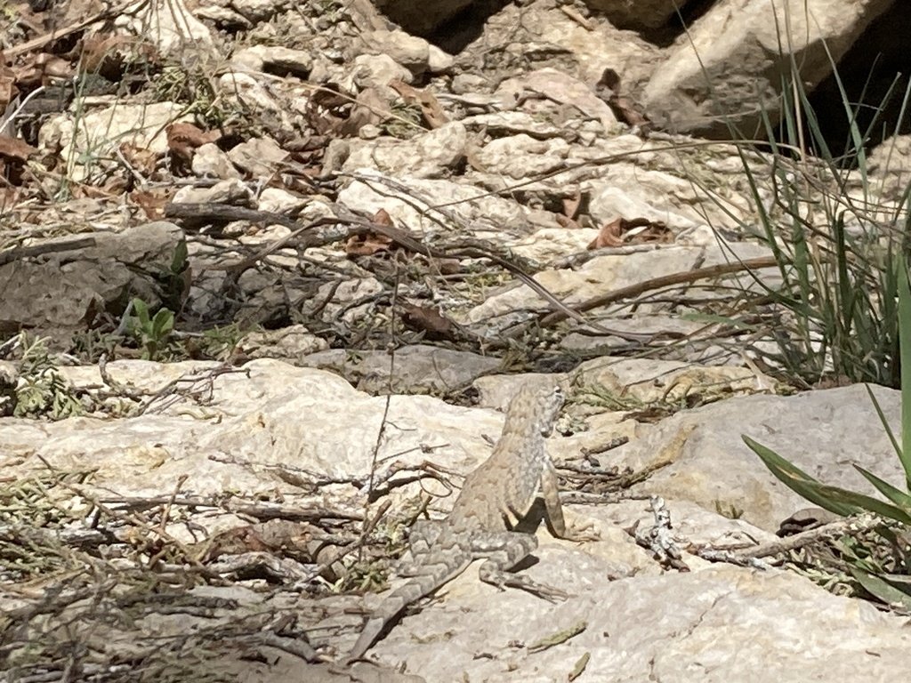 OldFoundWeatherNerd tweet media