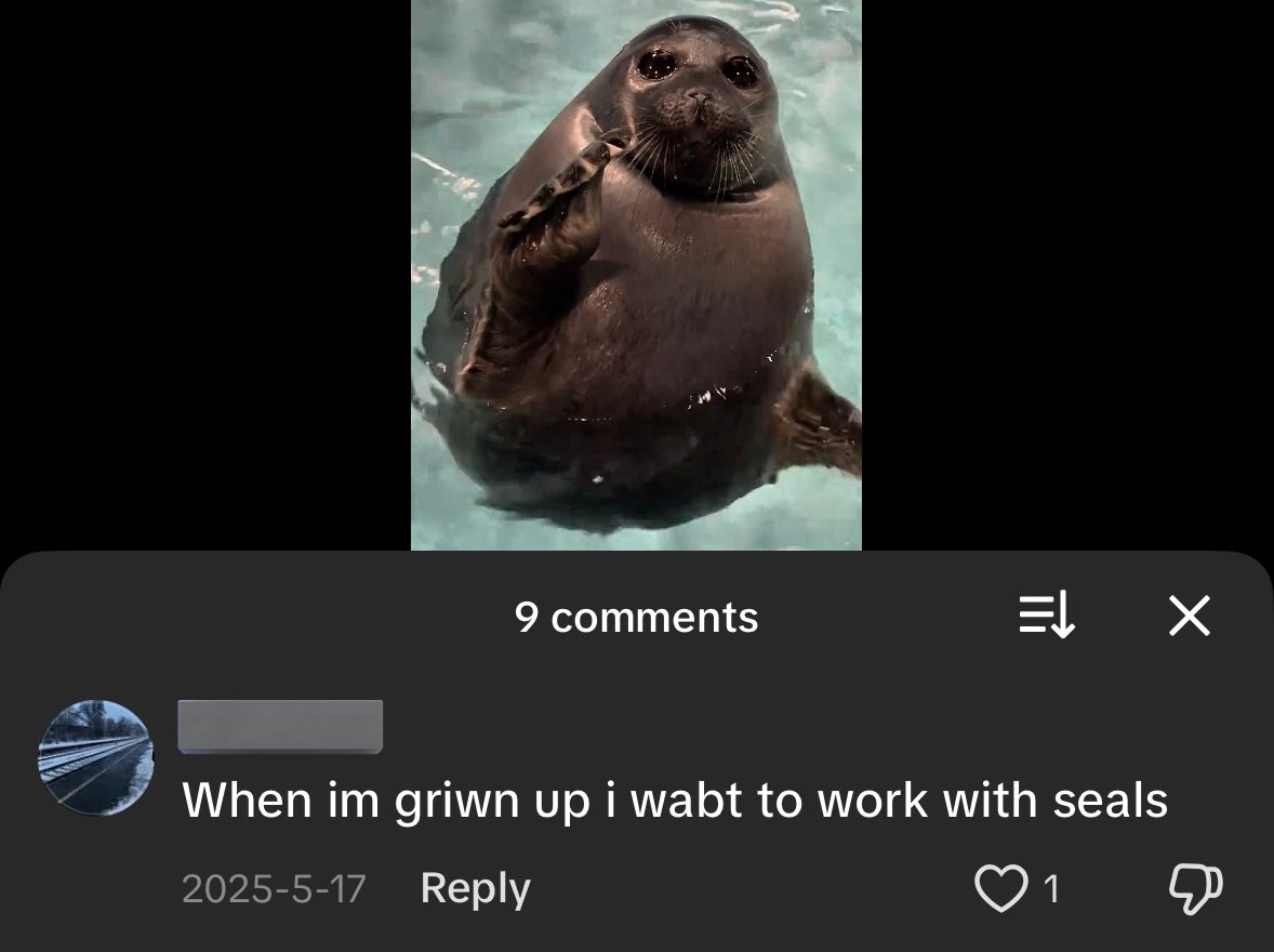 alyssa 🦭 (@mistapussy) on Twitter photo 