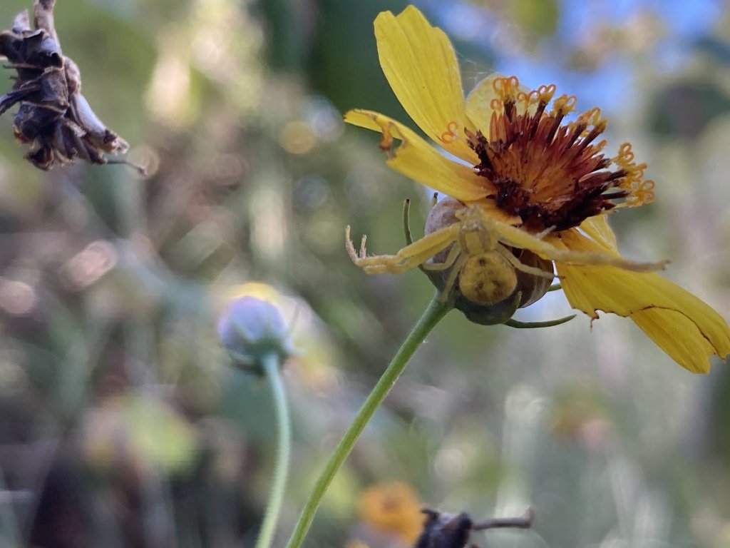 OldFoundWeatherNerd tweet media