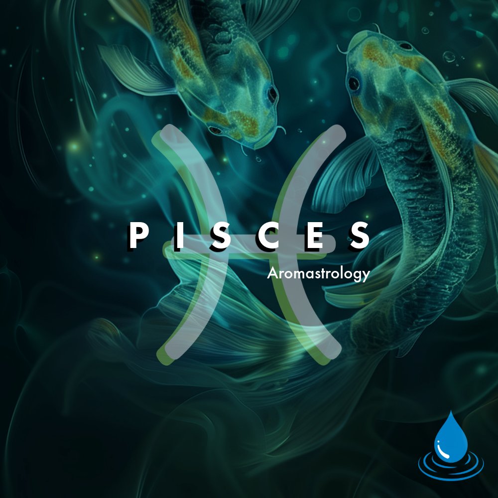 Aroma Retail tweet media