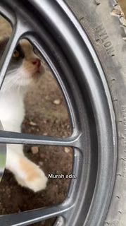 Ayo, lihat videoku di Shopee Video!  id.shp.ee/bt6zhq6?smtt=0…