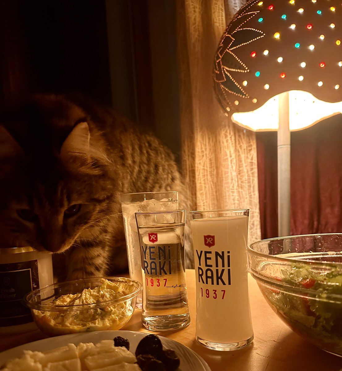 Delilerden sen anlarsın konuş onlarla 😻 #iyiakşamlar rakı bardağında buZ olanlar .