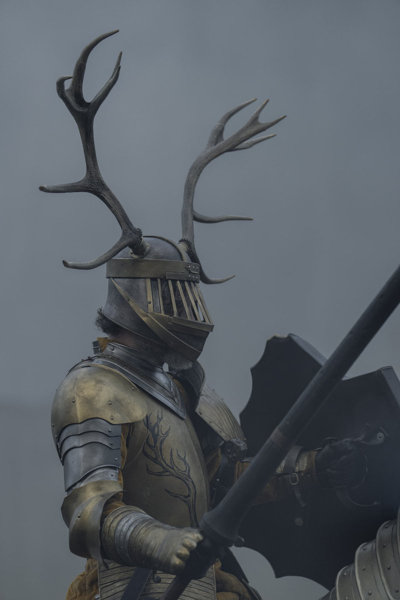 The beauty of the Laughing Storm’s antlered helm🦌