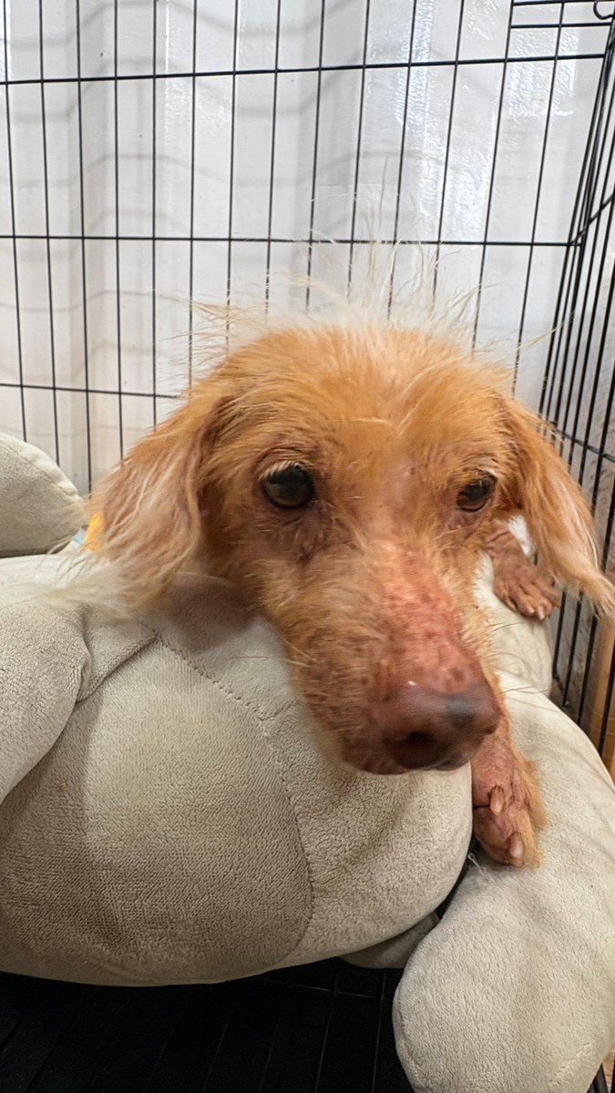 Niall Harbison tweet media