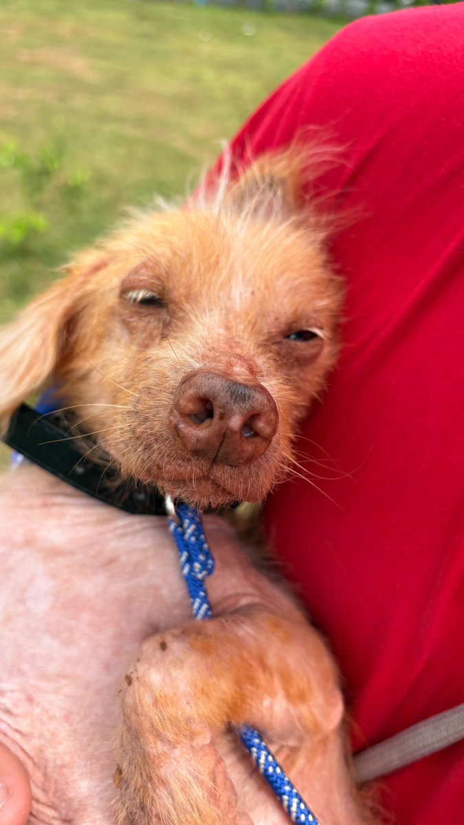 Niall Harbison tweet media