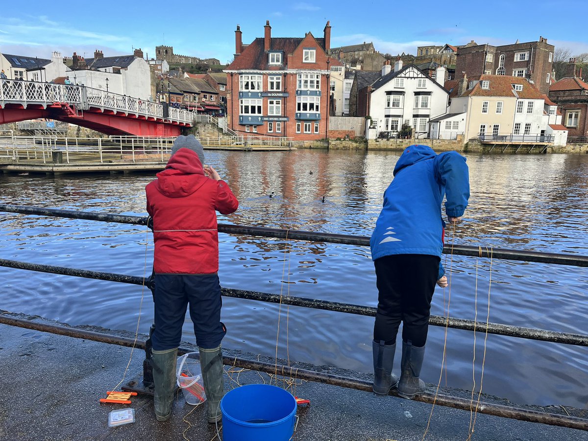 Feeing crabbie <a href="/CharlesBristow/">Charles Bristow</a>