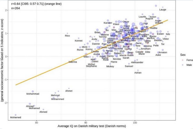 IQ Test von Dänischen Rekruten fällt euch was auf ?