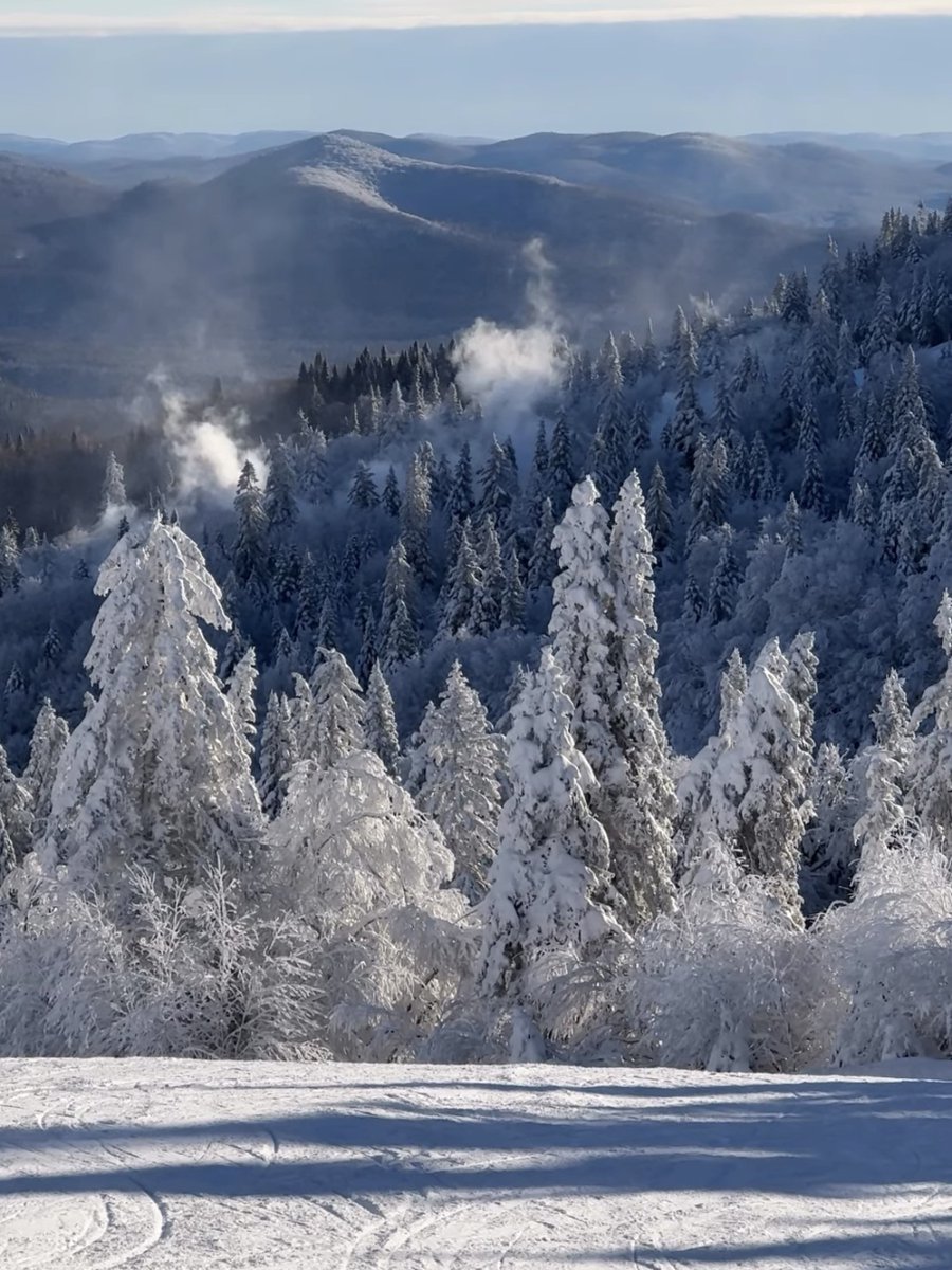 MichelinCAN tweet media