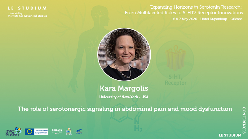 LE STUDIUM tweet media