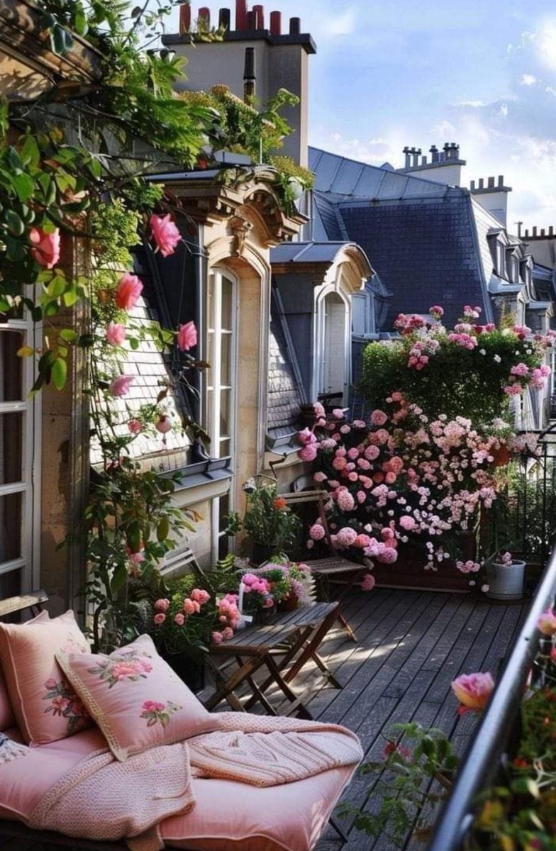 Balcony beauty 🌸
