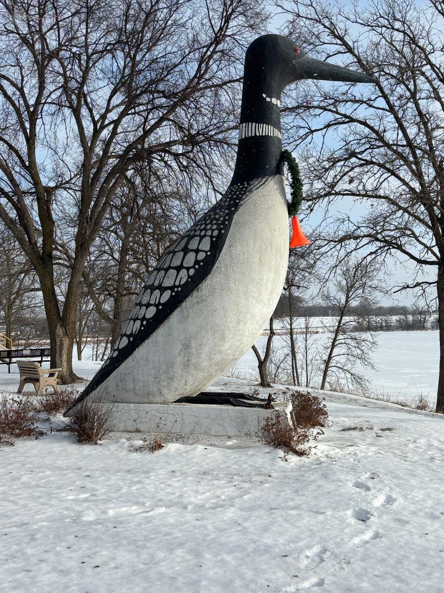 MN Sheriffs’ Association tweet media