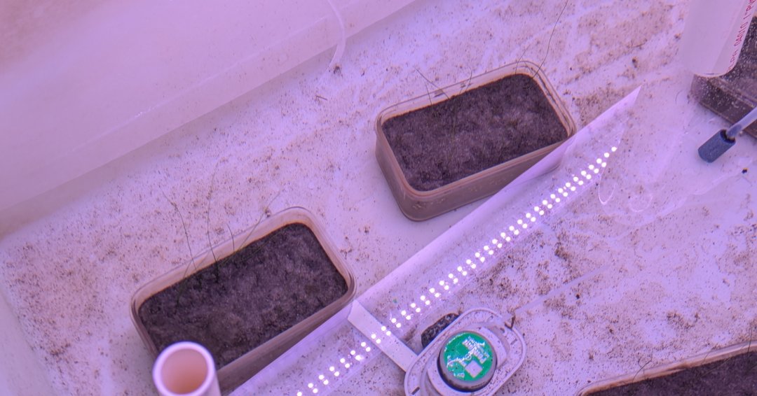 Delaware Sea Grant tweet media