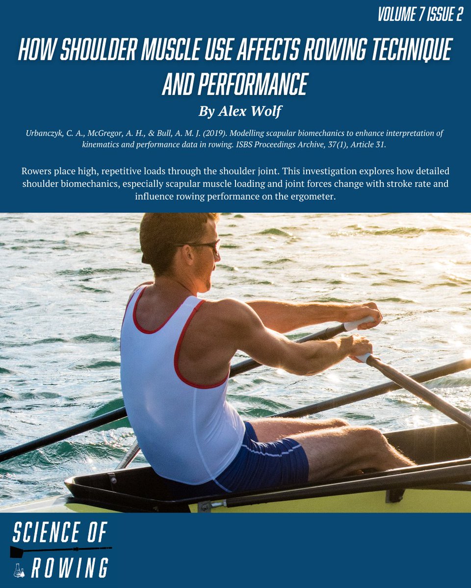 Science of Rowing tweet media