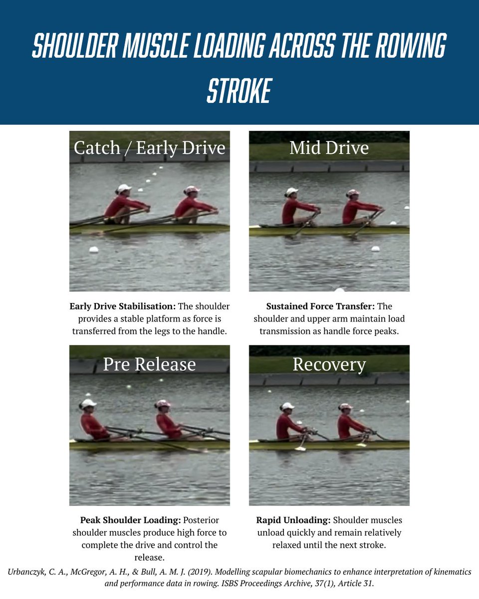 Science of Rowing tweet media