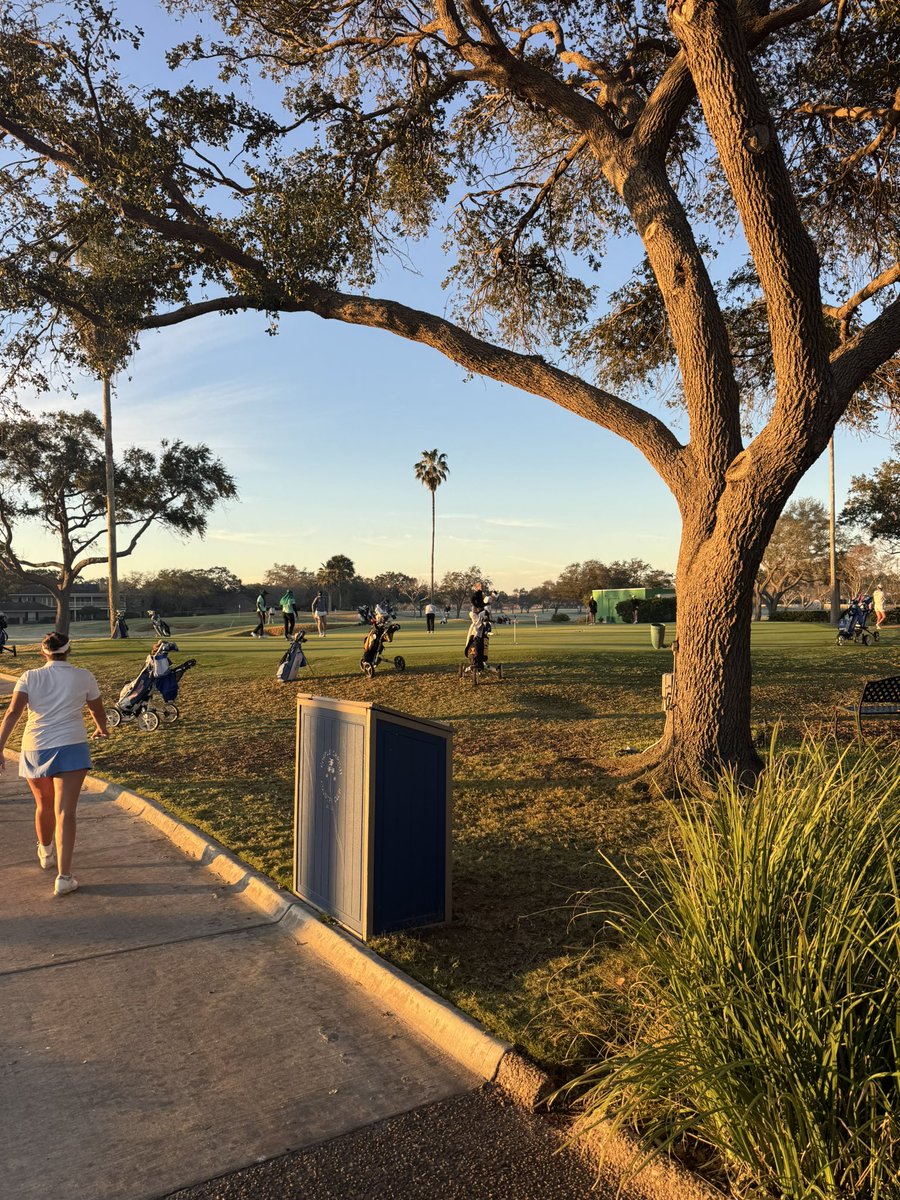 Brent🌵🏴‍☠️ tweet media