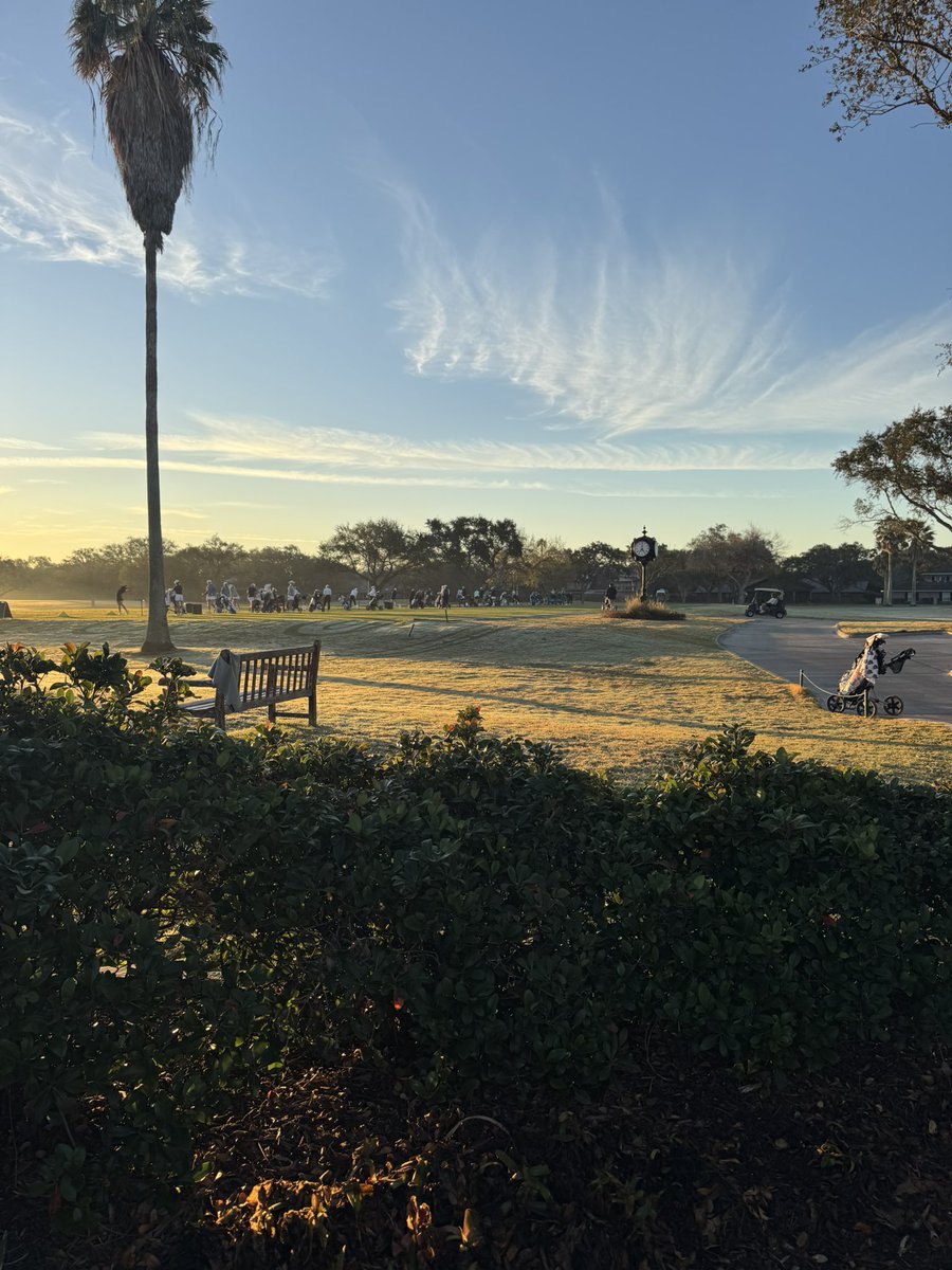 Brent🌵🏴‍☠️ tweet media