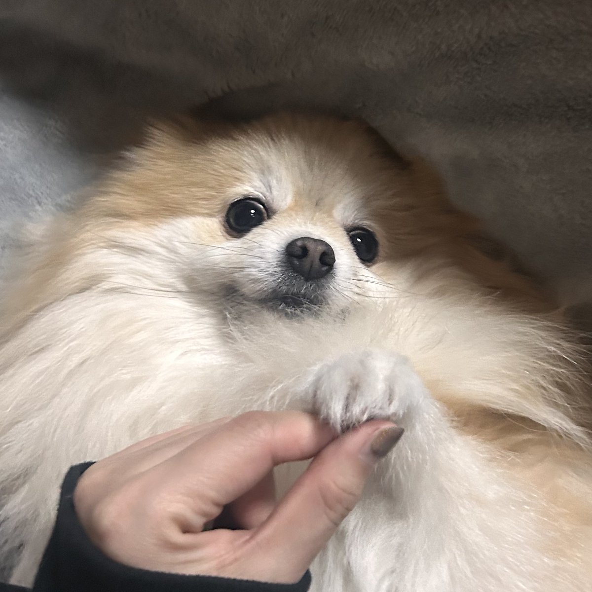 cry_endroll's tweet photo. #はてなをつけると可愛くなる 

　　　　　　　◢███◣ 　　　　　　
　　　　           █◤　◥█ 　　　　　　
　　　　           █　　　█ 　　　　　　
　　　　　               ◢█◤ 　　　　　　
　　　　　　           █  　　　　　　

　　　　　　           █ https://t.co/ITQKLpSbpj