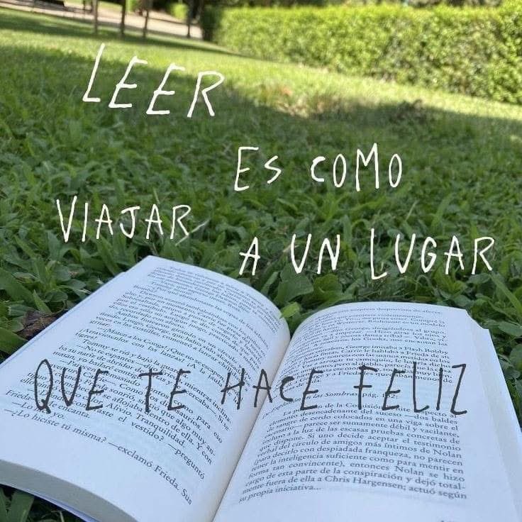 Libri_pedia's tweet photo. https://t.co/Ejq46daTQw