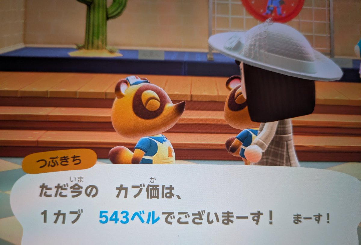 uota_ng's tweet photo. あつ森カブ価543ベル
 
禁止:マリンスーツ、マイナスボタンでの帰省。
往復OKです。順番やマナーはお守りください。

要求:マイル旅行1枚～
不要な家具やレシピなど…。
始めたて🔰なのでお願いします！

ドカンがないので…お手数ですが、空港からまっすぐ行った役場の隣にお店あります💦 https://t.co/pg2tBFh2Q2