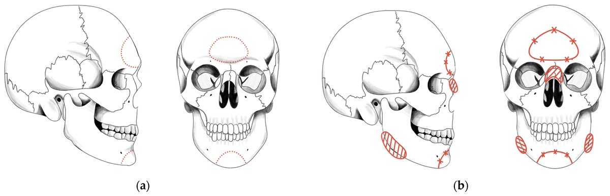 Humans_MDPI tweet media