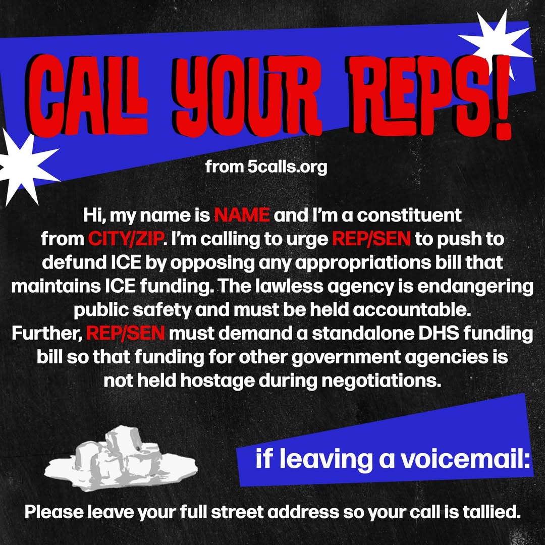 Pitt Fans United tweet media