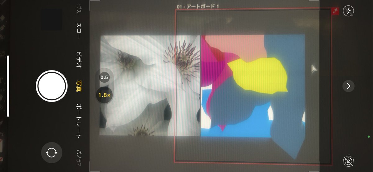 かわいい色たち