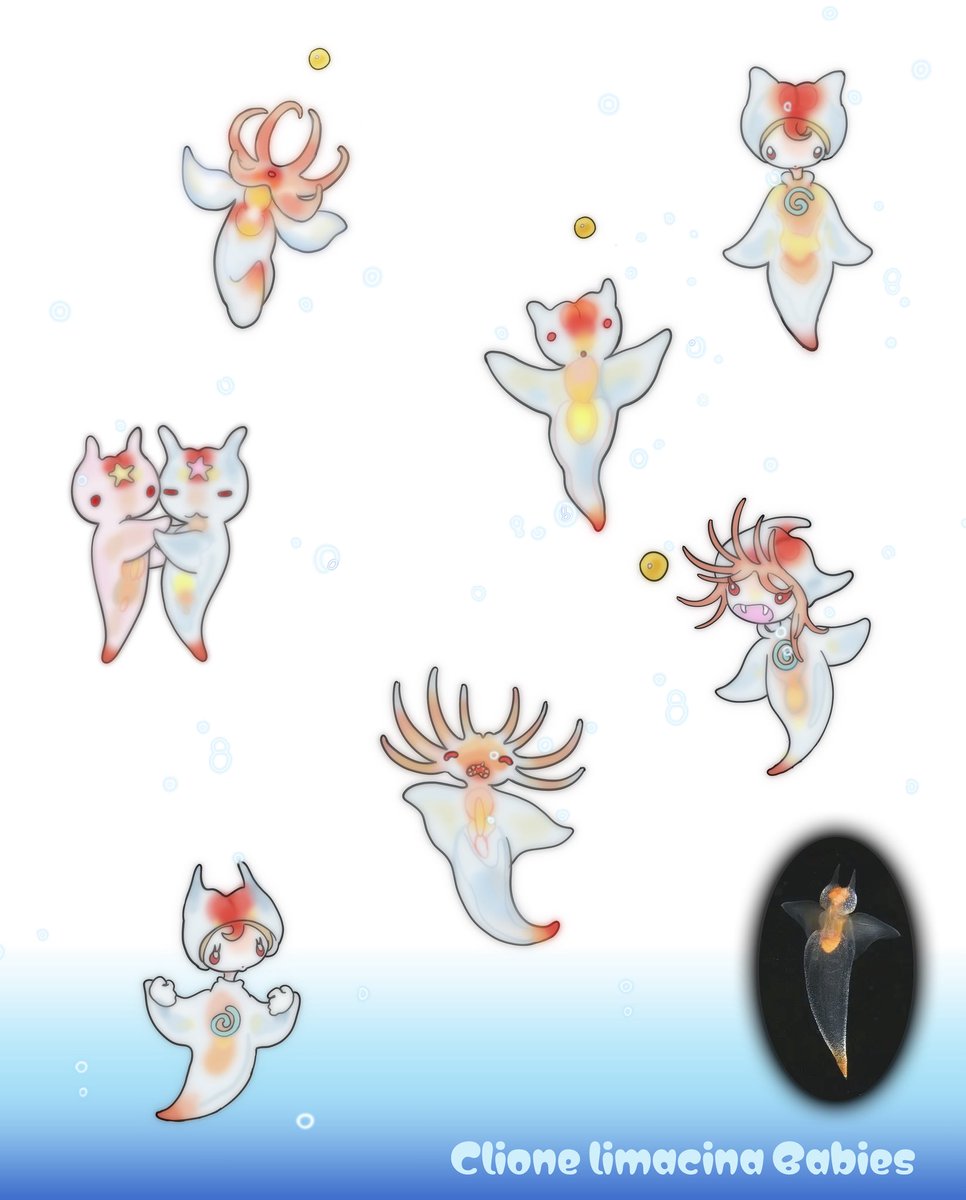 sunonebird tweet media