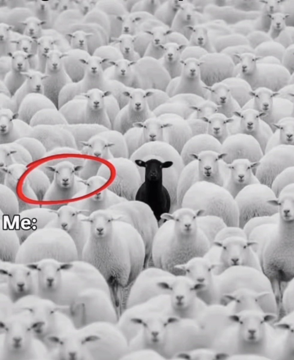 Lizzy T⸆⸉ ོ tweet media