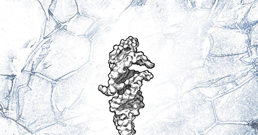 Chemistry News tweet media