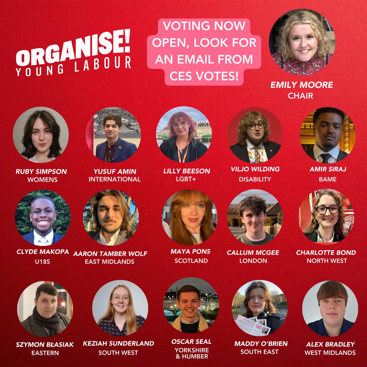 Organise tweet media