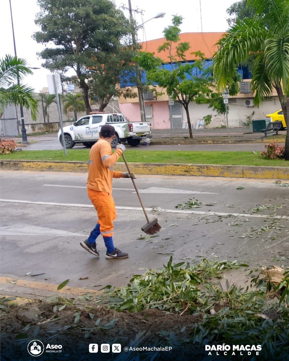 Ante la alerta ciudadana por un árbol caído en Circunvalación Sur y Colón Tinoco, activamos nuestro equipo operativo.
En coordinación con <a href="/MovMachEp/">Movilidad Machala EP</a> y <a href="/MachalaBomberos/">Benemérito Cuerpo de Bomberos de Machala</a> controlamos la situación.

#MachalaNosMueve #MachalaLaGranCiudad #DaríoMacasAlcalde