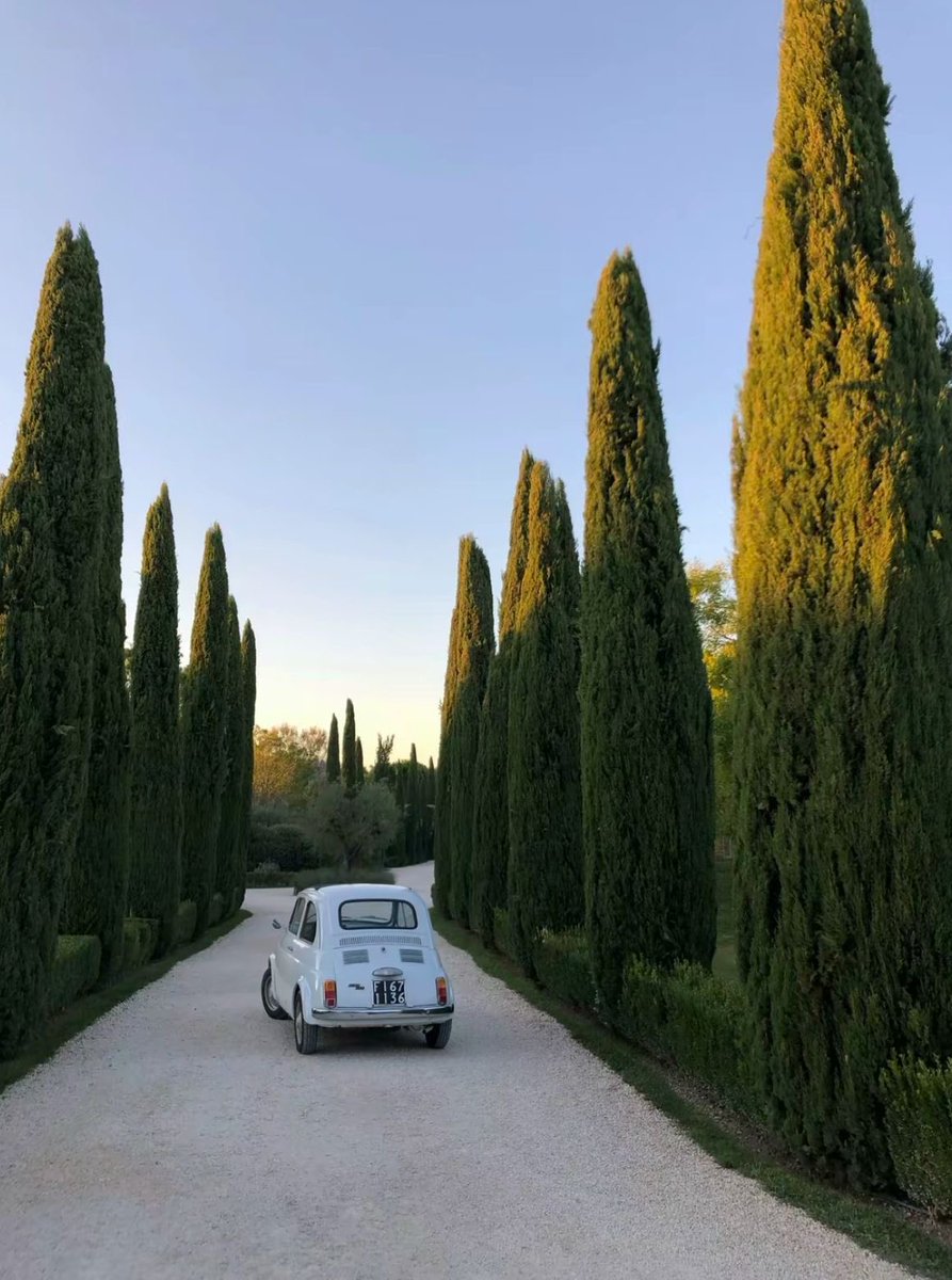 classyladylife's tweet image. Tuscany, Italy 🇮🇹