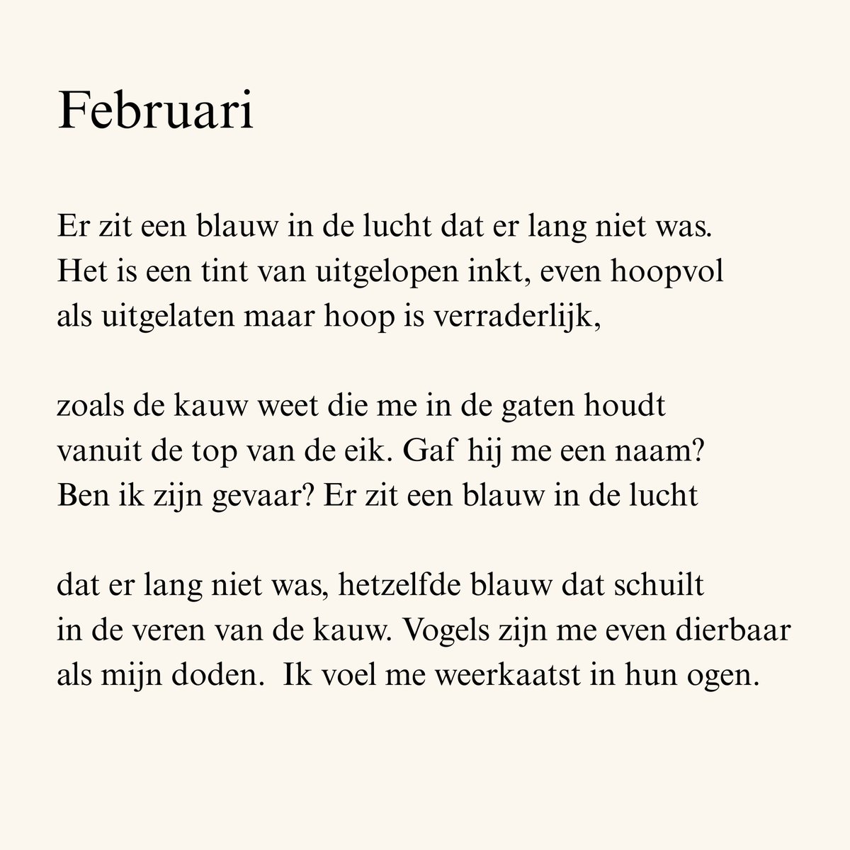 Max Temmerman 🇧🇪 tweet media