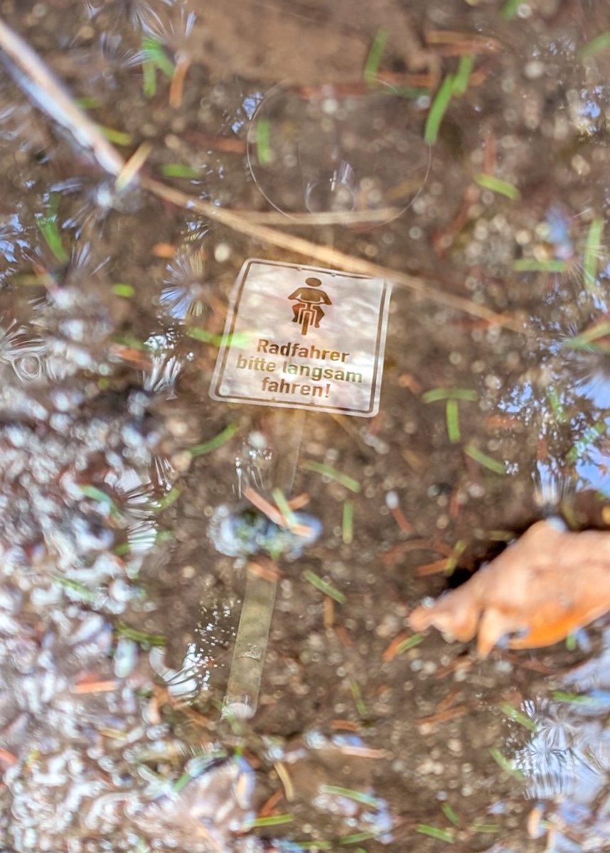 SingingLehrerin's tweet image. #PMJWeeklyChallenge  #TuttingTypography 
"Cyclists please (in green) ride slowly (in green)" 
Taken today as @pmj_photos has asked to share what we spot THIS WEEK. #APuddleADay