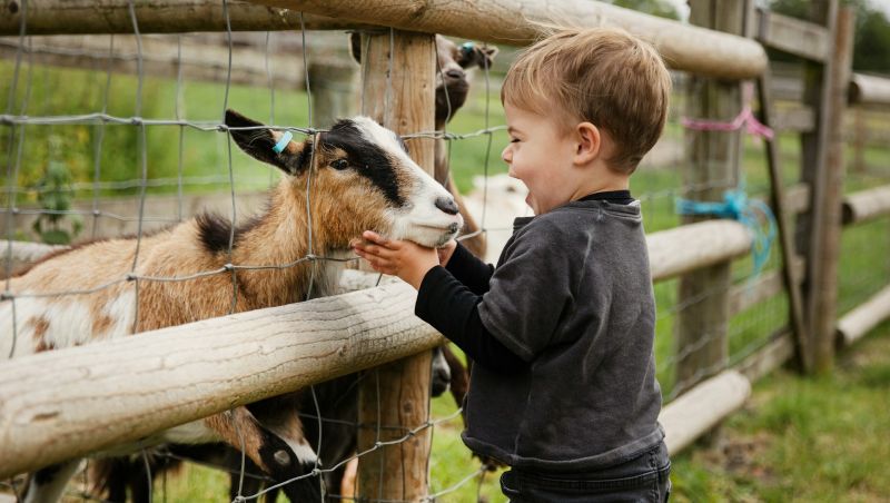 Kansas Head Start tweet media