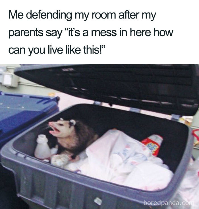 MopForceTeam's tweet photo. If this is your house, we need to talk. 🐕💩 Muddy noses and shedding season are no match for MopForce. We clean so you can cuddle!

Pet-friendly cleaning at $39/hr!🌐 https://t.co/q4j0fg2870 | 📍 YEG, YYC, GTA, &amp; more!
#MopForce #DogMoms #CleaningJokes #PetCare https://t.co/raOeUvwgDt